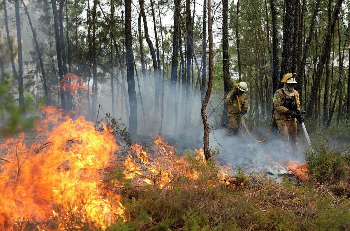 Повышенная пожароопасность. Пожар в лесу. Природные пожары. Лемной повр. Лесной пожар фото.