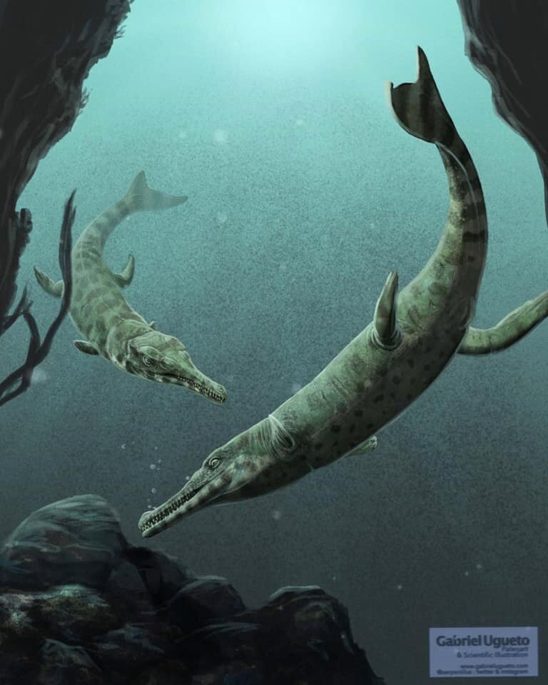 Метриоринхиды (Metriorhynchidae) – морские крокодилы с рыбьими хвостами