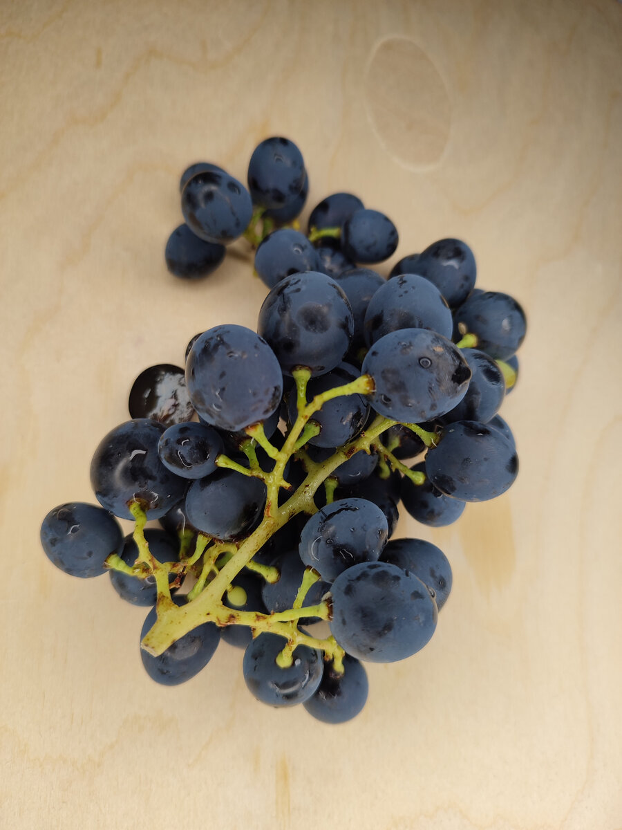 Польза глотания виноградных косточек
