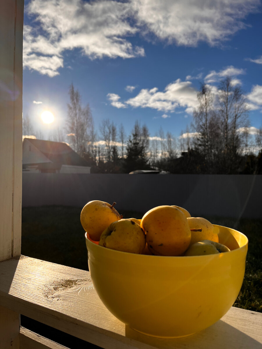 Кто-то грибы собирает, а я - остатки упавших яблок