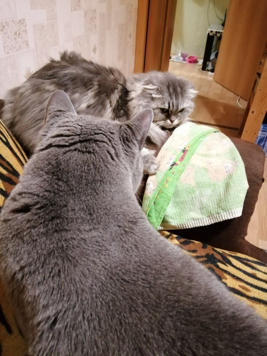 -2