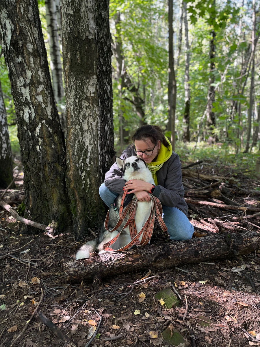 Апути!!!!! Я взрослый серьезный пёс!