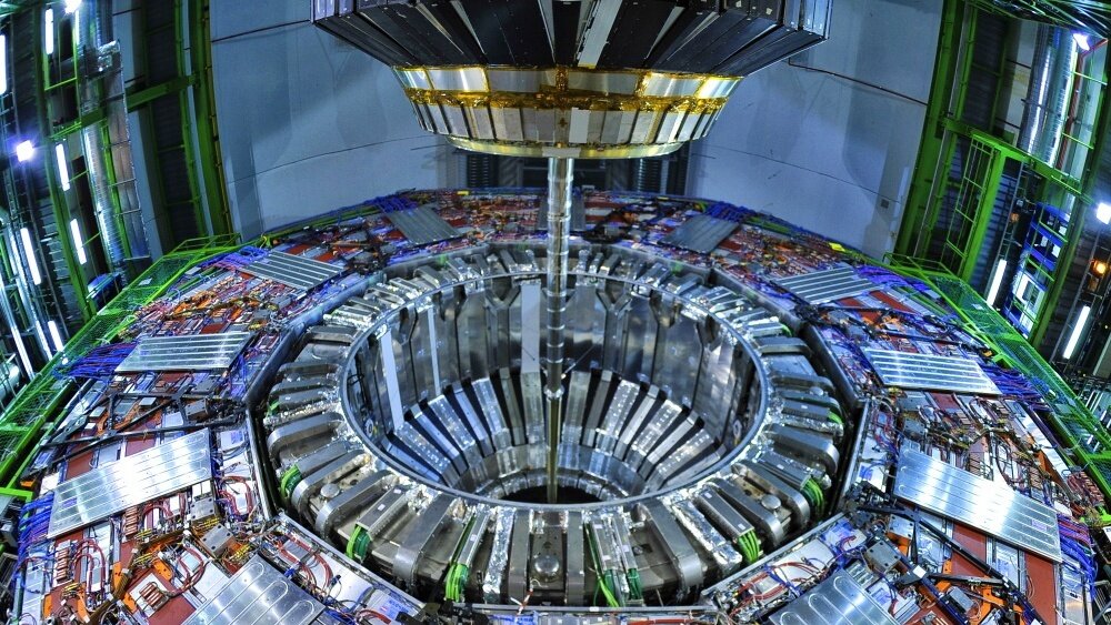   Фото: D-VISIONS / Shutterstock.com