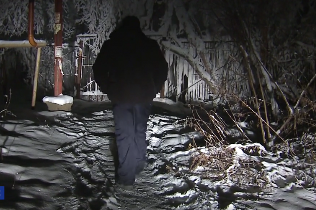    Фото: Вести Новосибирск