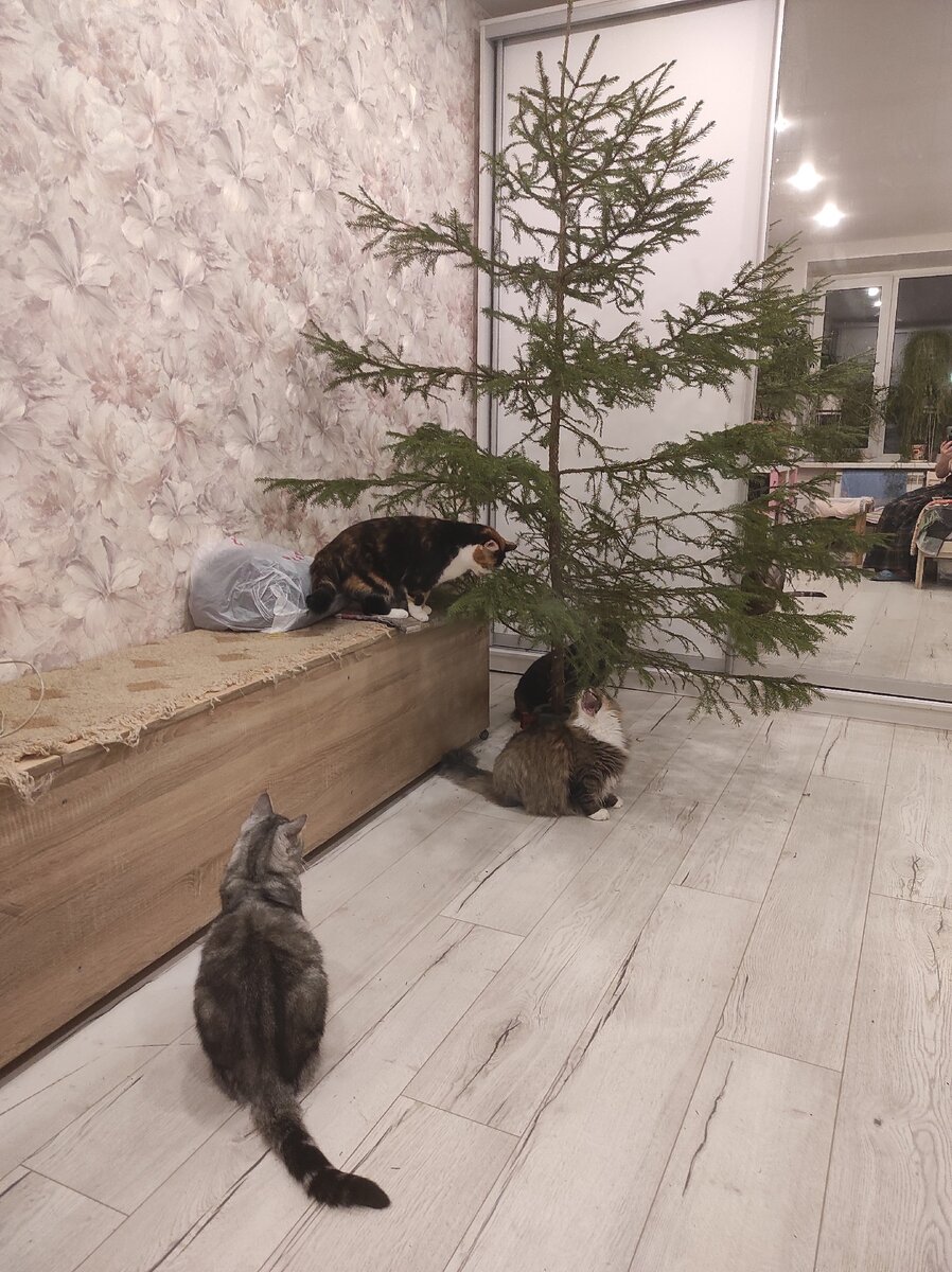 -2