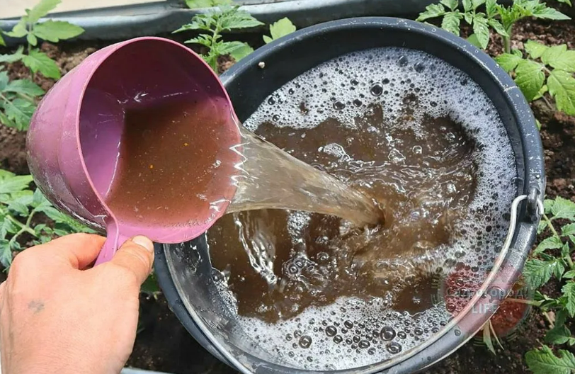 Фотография взята из источника 2sotki.ru