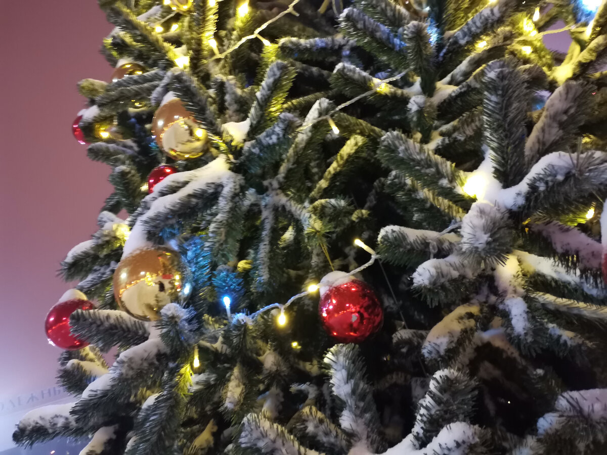 Фото автора. И снова елочка. Мне очень нравится как украшены елочки в этом году) 