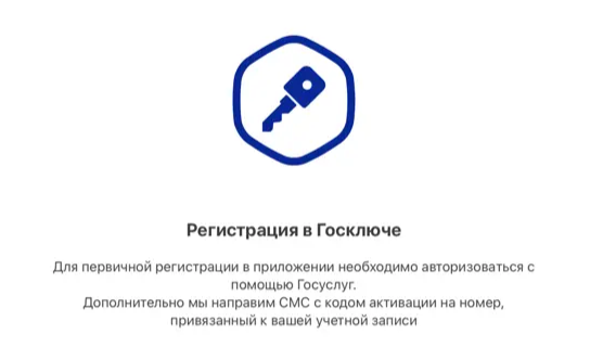Первичная регистрация в Госключе