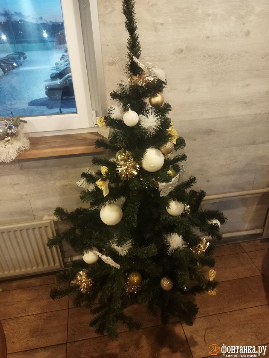   
 Фото: предоставлено «Фонтанке» читателем