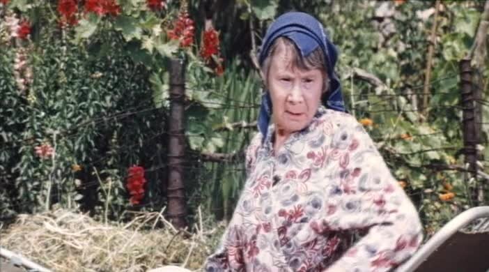 фото из сети