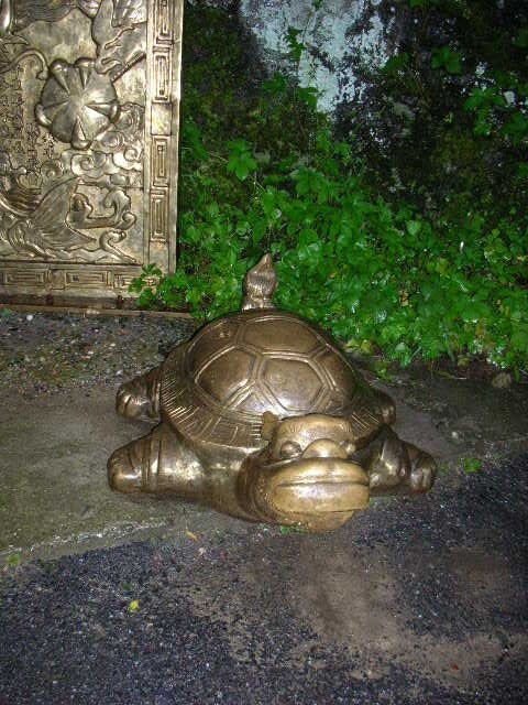 Черепаха в одном из даосских монастырей в Удане