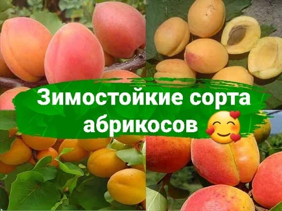 Можно ли двигаться по полосе мтс