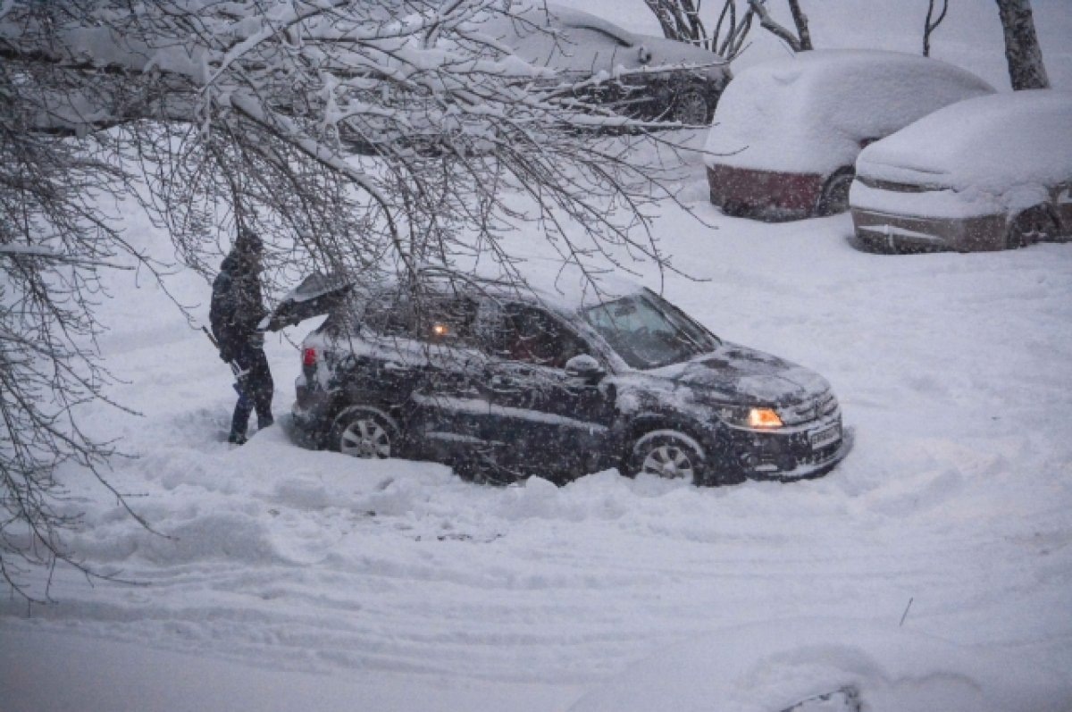    В Новосибирской области ожидаются аномальные морозы до -45 градусов