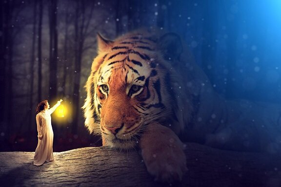 Изображение из открытого источника. Pixabay