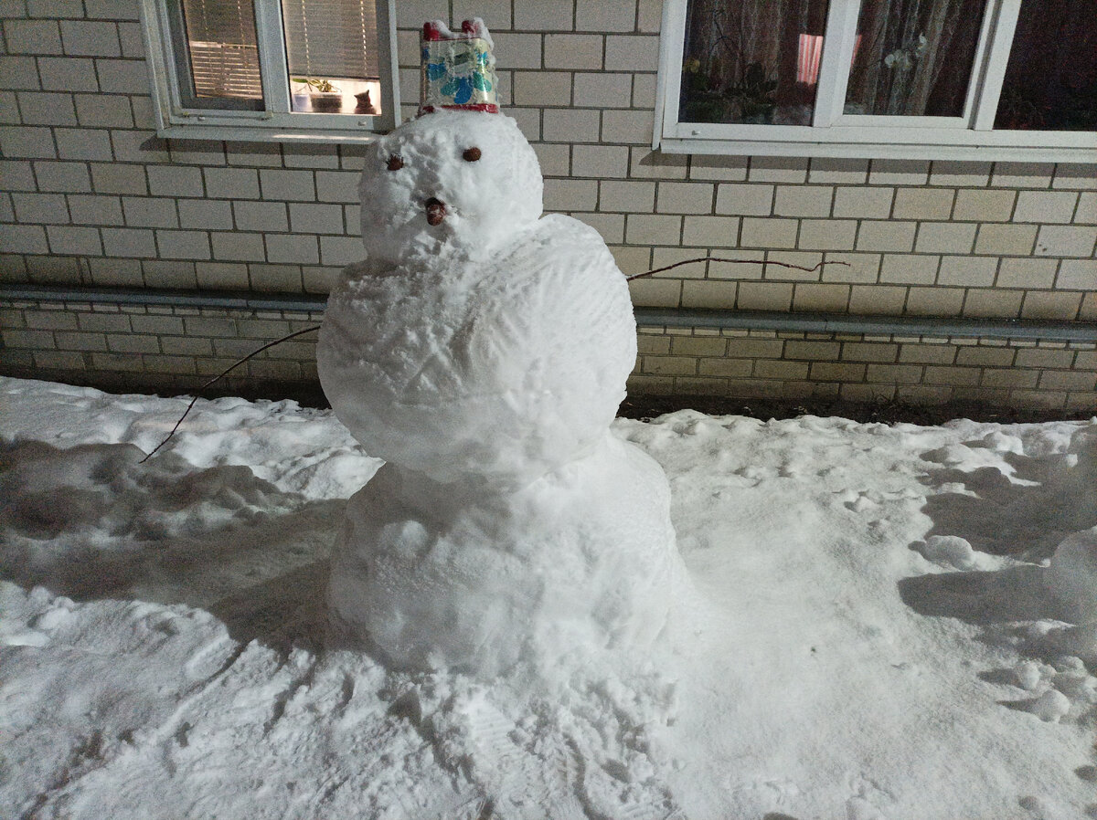 Снеговик по пути