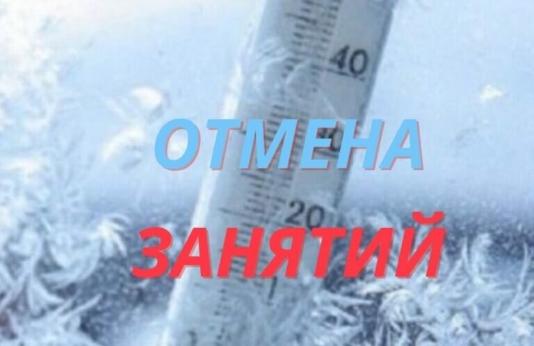    В Оренбуржье 11 января из-за мороза школы уходят на дистант и отменяют занятия 1-й смены Андрей Севостьянов