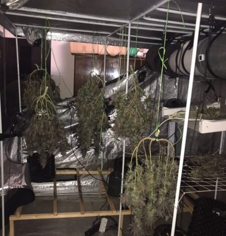  Фото сайта ГУ МВД по Петербургу и Ленобласти 