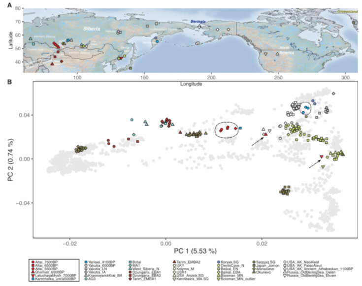   Ke Wang et al. / Current Biology, 2023