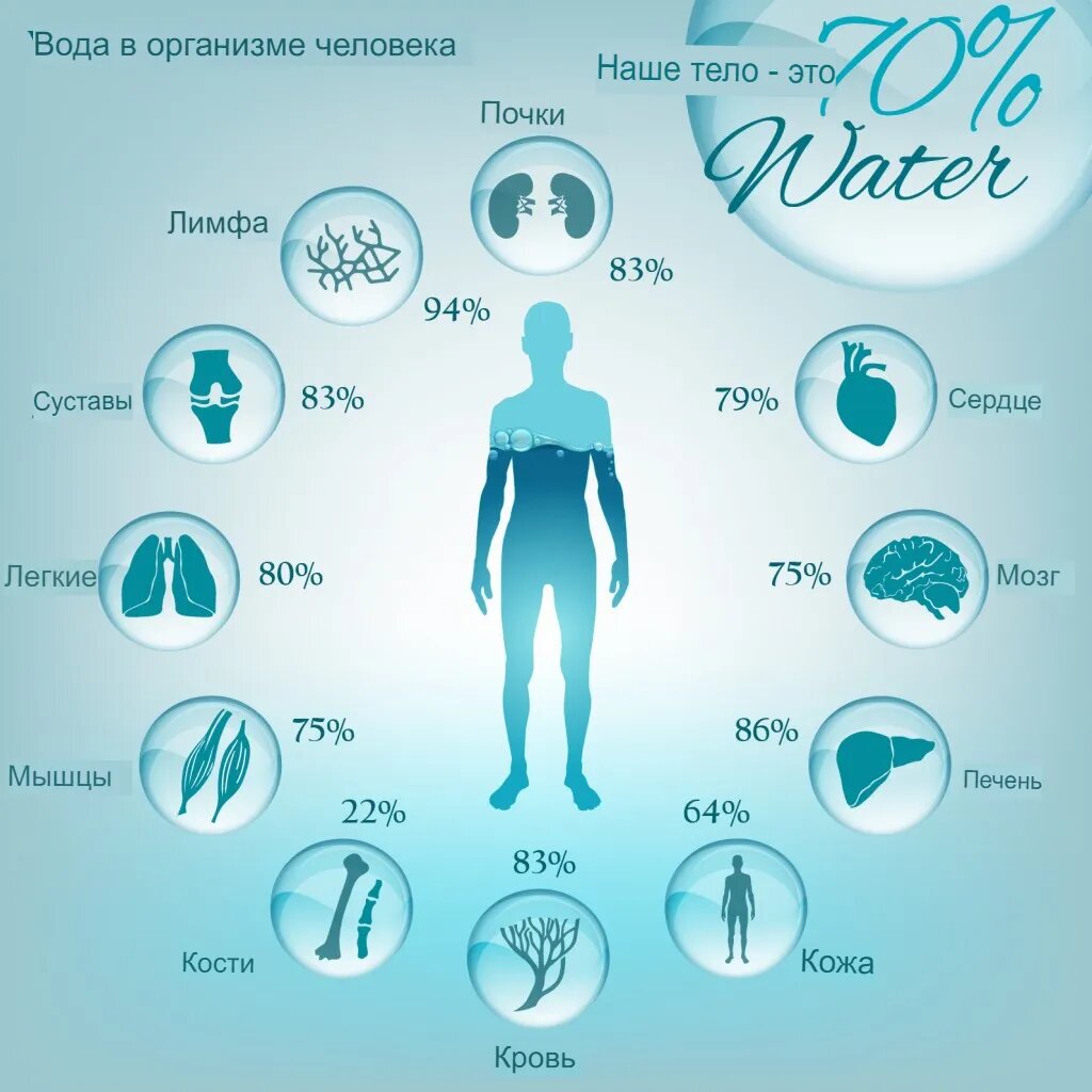 Картинки вода в организме человека