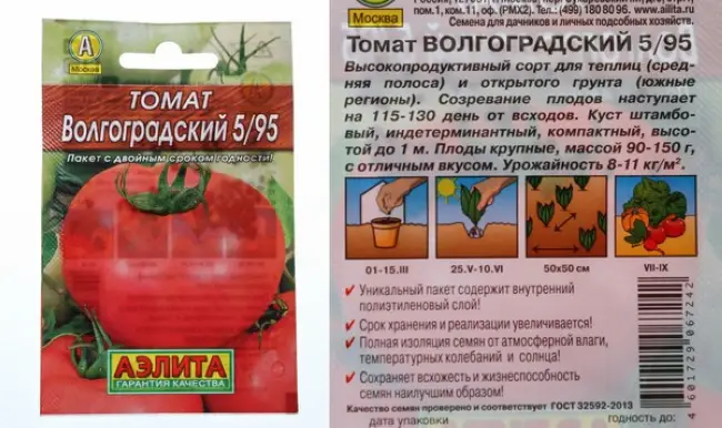 Волгоградский помидоры описание. Томат сорт Волгоградский 5/95. Томат Волгоградский 595. Волгоградский помидор 5/95 описание.