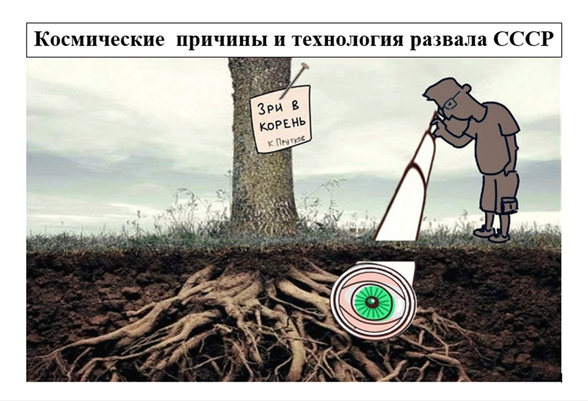 Корень горы асгард assassins creed valhalla. Пустить корни значение. Зри в корень значение. Массивное дерево с корнями. Фразеологизмы со словом корень предложения.