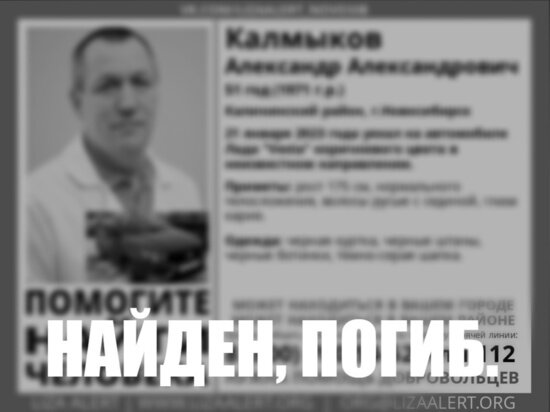     фото лизаалерт