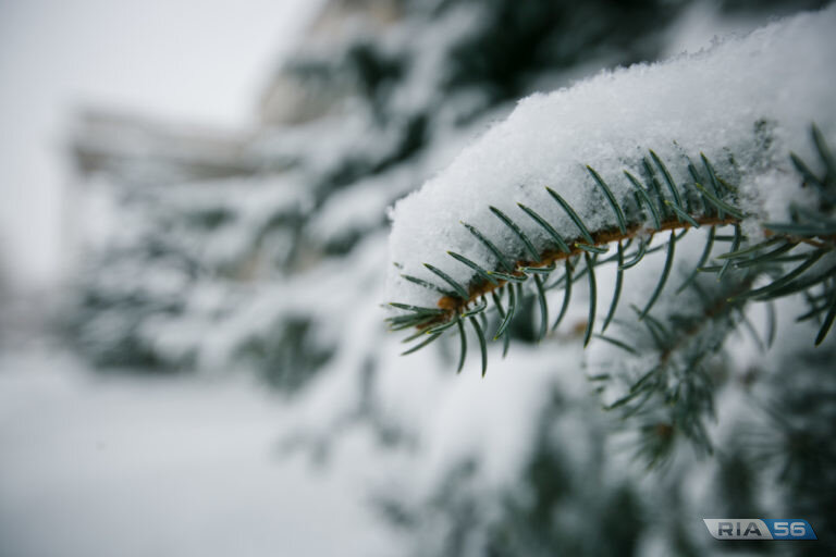    Небольшой снег, ветер и до -5 градусов прогнозируют в Оренбургской области днем 3 февраля Кристина Просвиркина