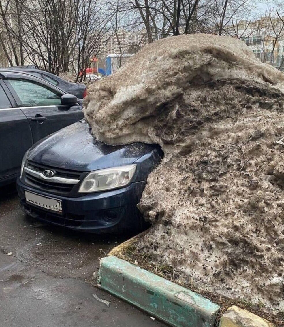 Первые подснежники: 14 автовладельцев, которые попали в нелепые ситуации |  Fishki.Net | Дзен