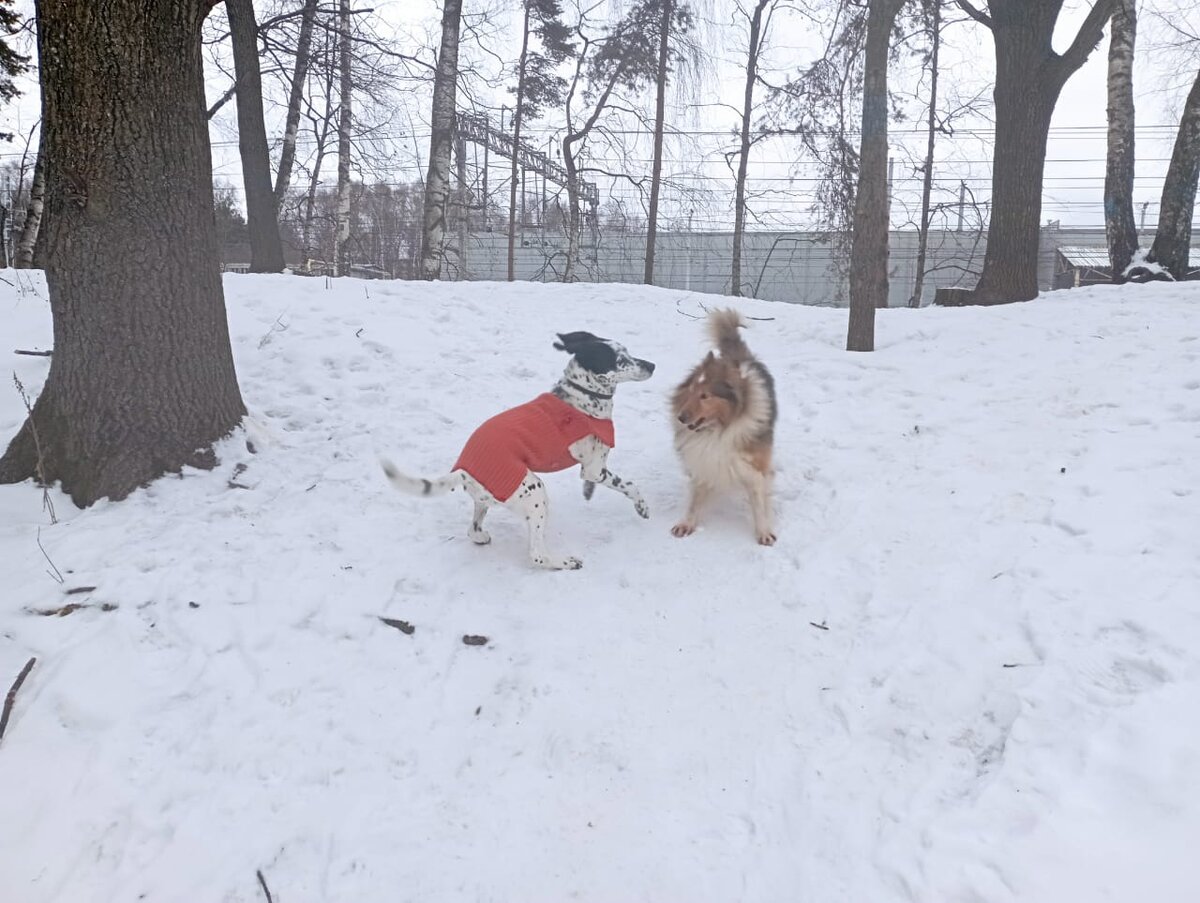 -2