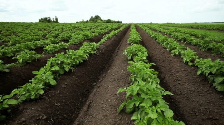 Экономия времени и усилий