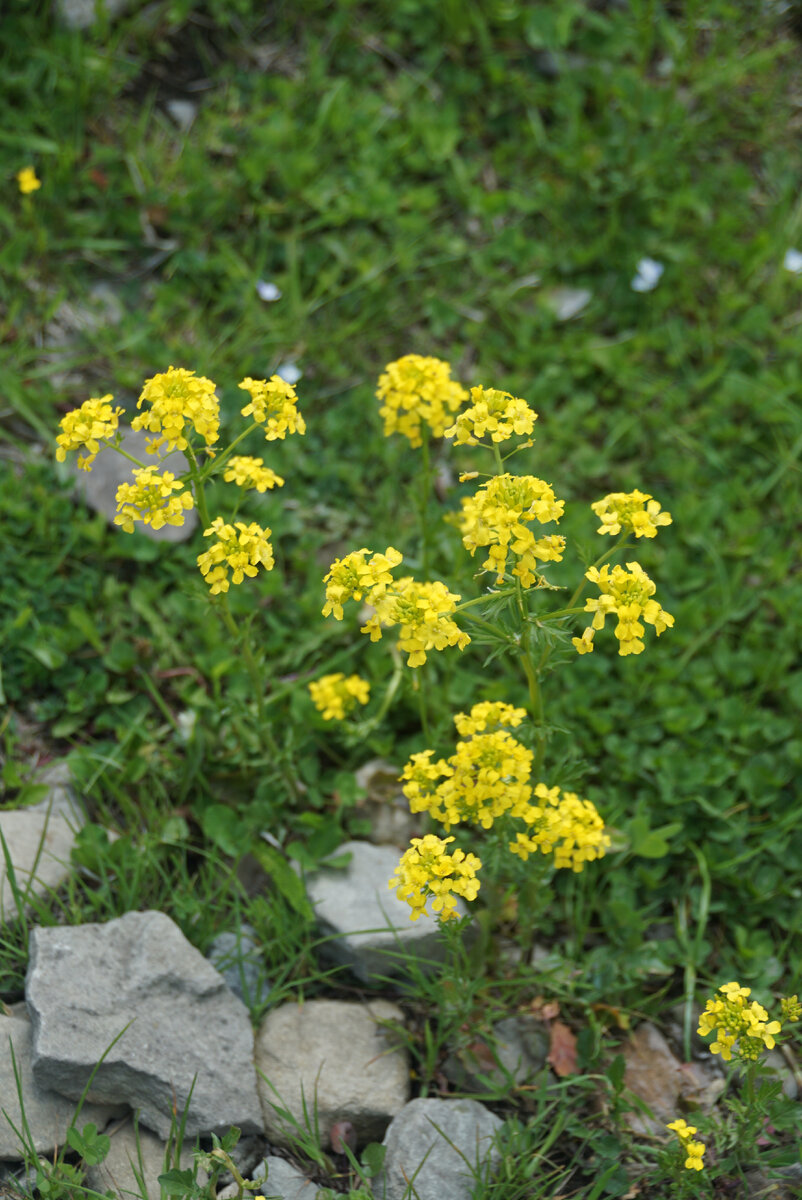 Фото Марины Лалаян