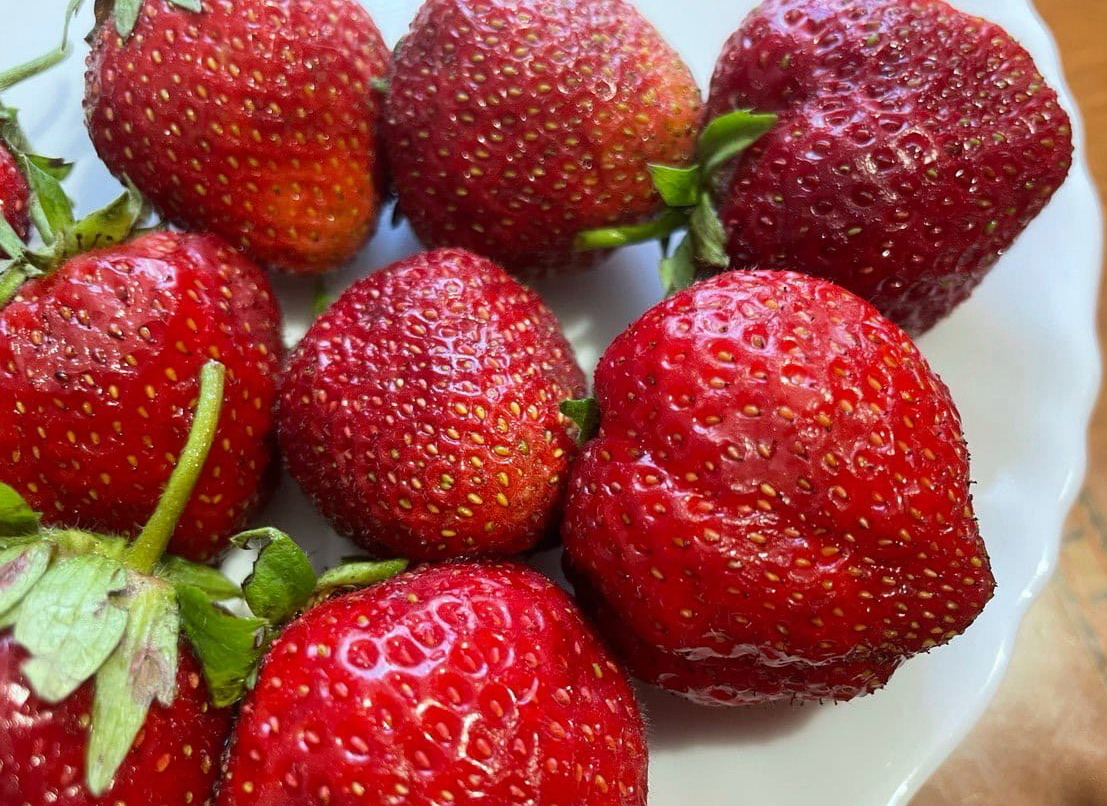 Наша клубника