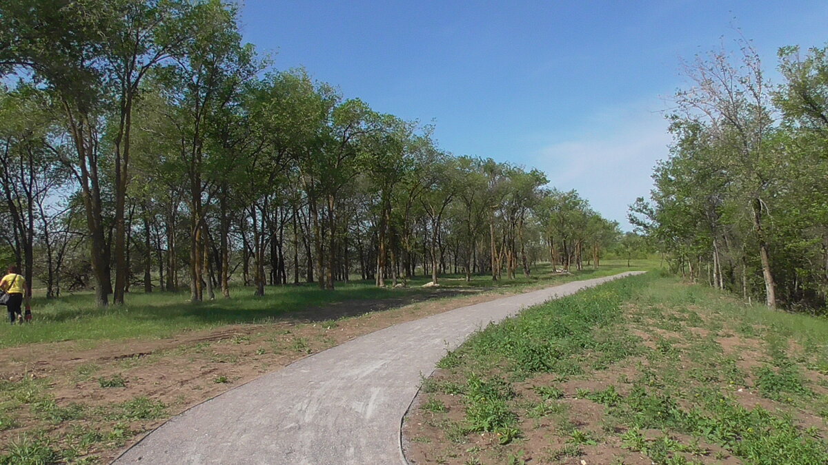 Тропинка. Начало моего пути . С лева дачи и женщина идёт туда .
