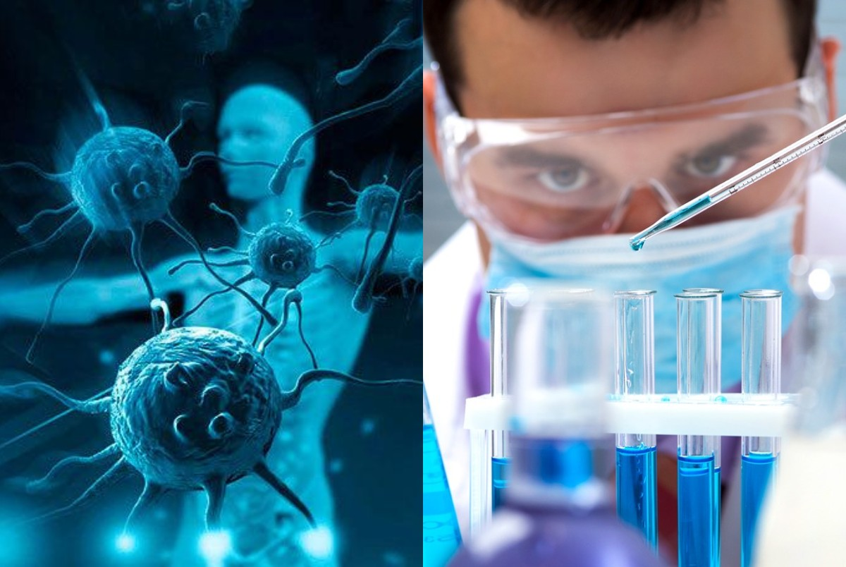 яндекс-картинки