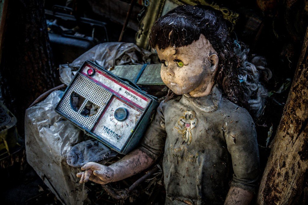 фотографии из свободного доступа.