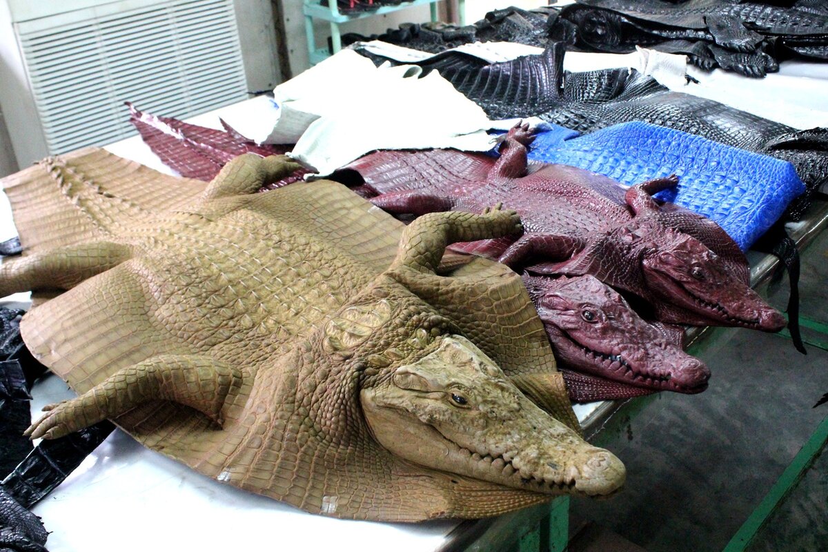 О вязании узора кожа крокодила | Ksushino_hobby | Дзен
