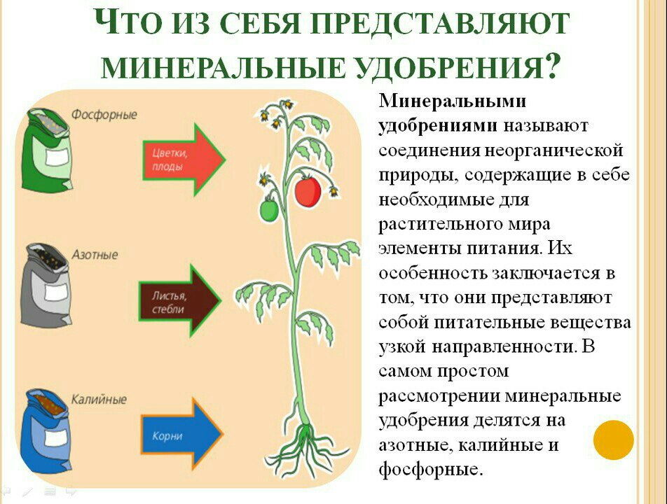Влияние удобрений на растения. Влияние удобрений на растения таблица. Влияние азотных удобрений на растения. Влияние удобрений на цветы. Влияние минеральной воды на растения