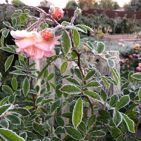 личное