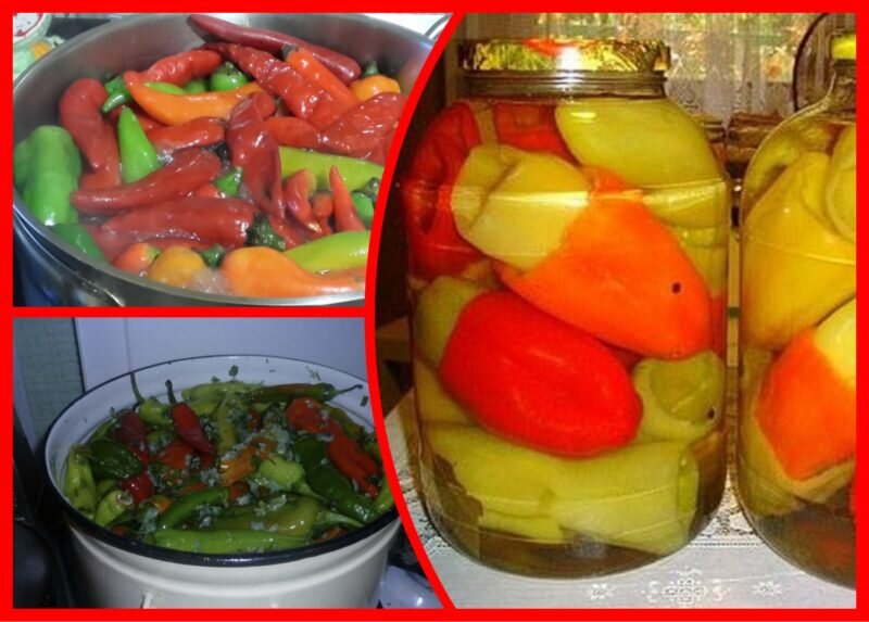 Засолка перца на зиму