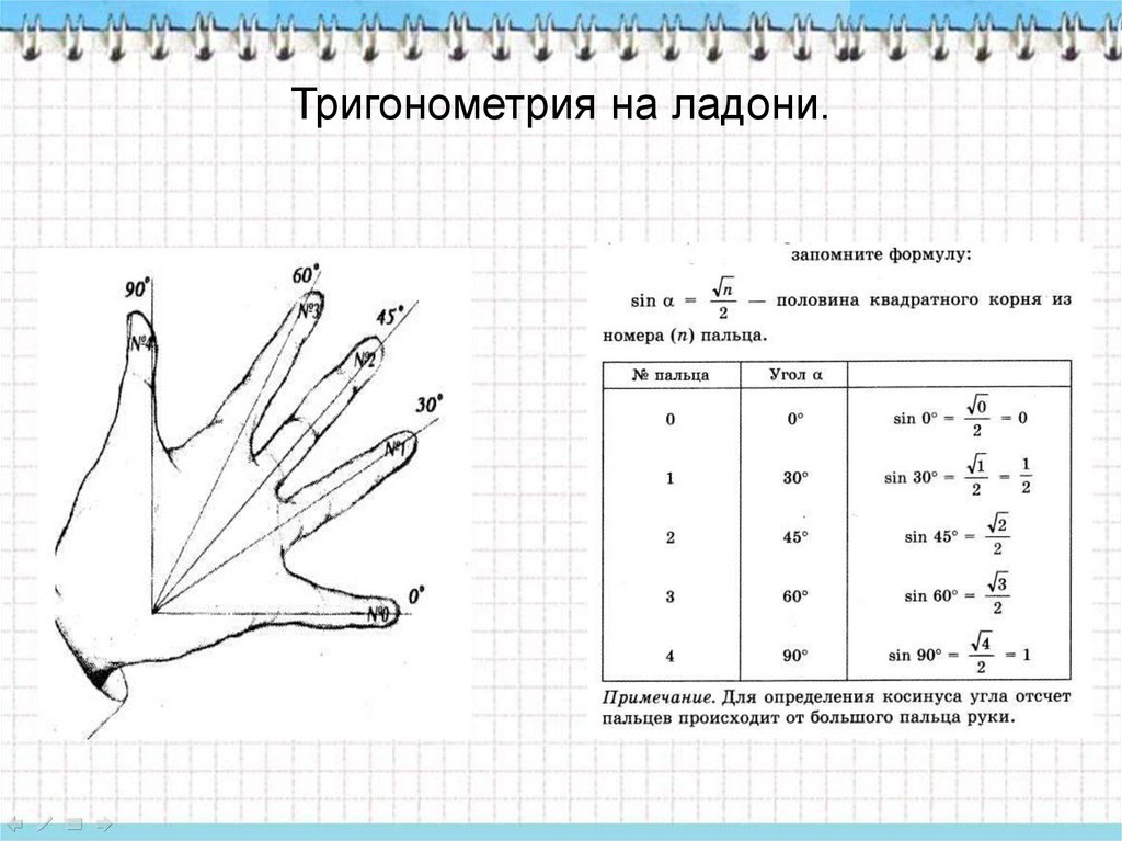 Тригонометрия на ладони. Триганоиетр. Как легко выучить тригонометрические формулы. Синусы и косинусы на пальцах.