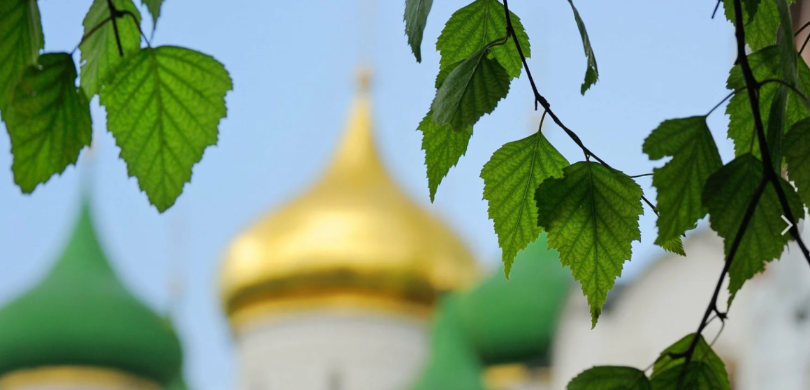 Добавьте описание