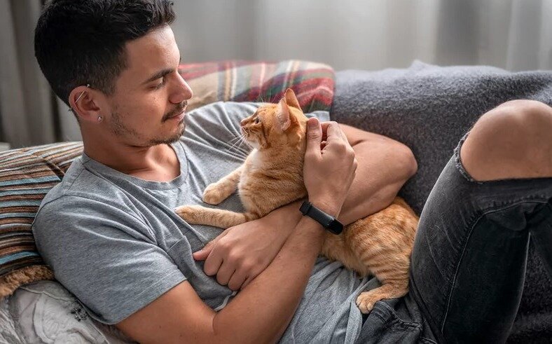 Почему кошки месят лапами?