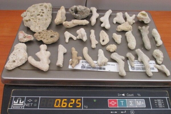 фото Южного таможенного управления