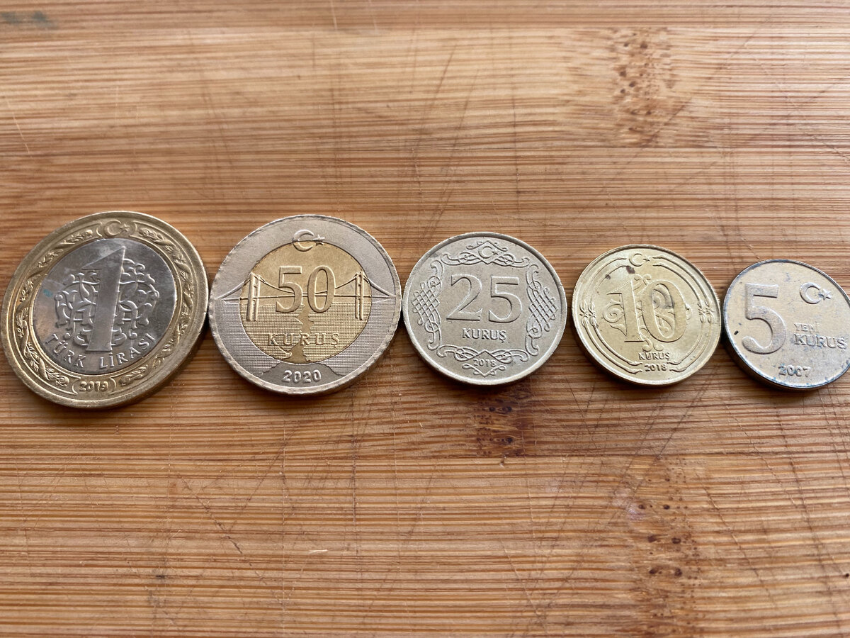 В турцию лучше брать доллары или евро. Валюта Турции монеты. Турецкие деньги монеты. Турецкие монеты 2022. Турецкие деньги в рублях.