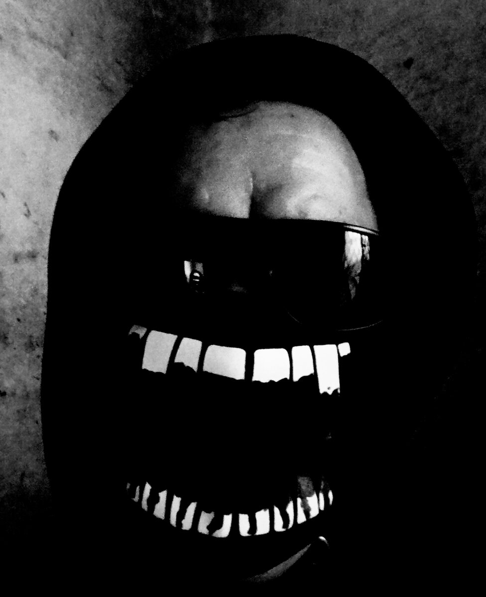 Фото автора. Веном