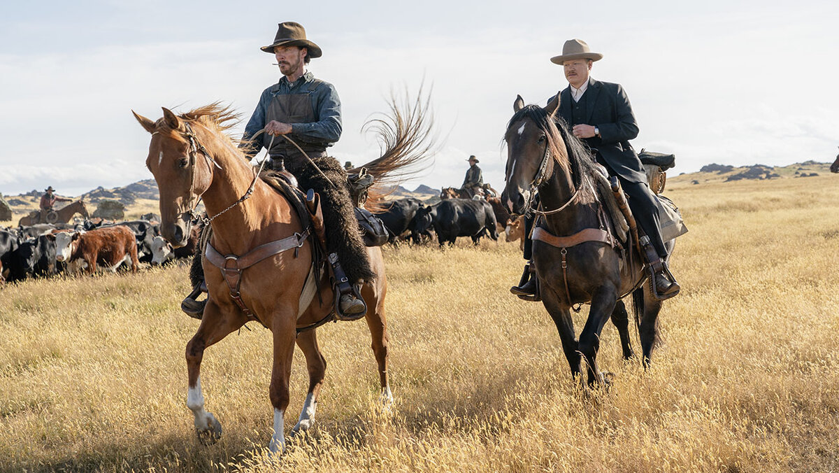 фото: https://www.hollywoodreporter.com/movies/movie-reviews/power-of-the-dog-review-1235005112/