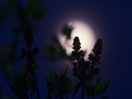 Весенняя луна особенно прекрасна