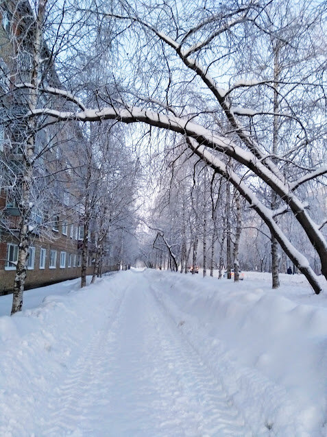 Милая сердцу аллея.