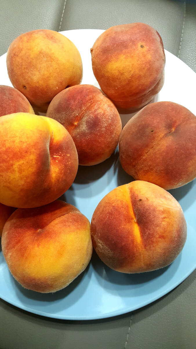 Персики из того самого сада