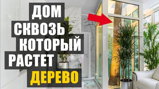 Что учесть при выборе?